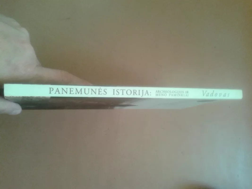 Panemunės istorija: Archeologijos ir meno paminklai - Rūta Janonienė, knyga 3