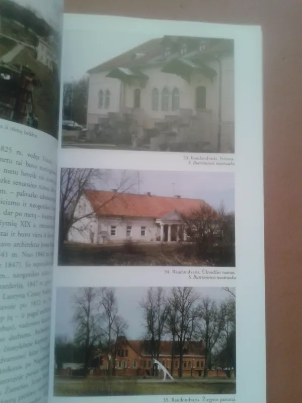 Panemunės istorija: Archeologijos ir meno paminklai - Rūta Janonienė, knyga 6