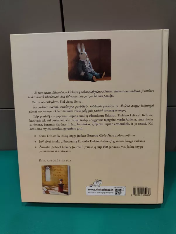 Nepaprasta Edvardo Tiuleino kelionė - Kate DiCamillo, knyga 3