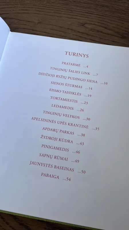 Tinginių šalis - Kęstutis Kasparavičius, knyga 4