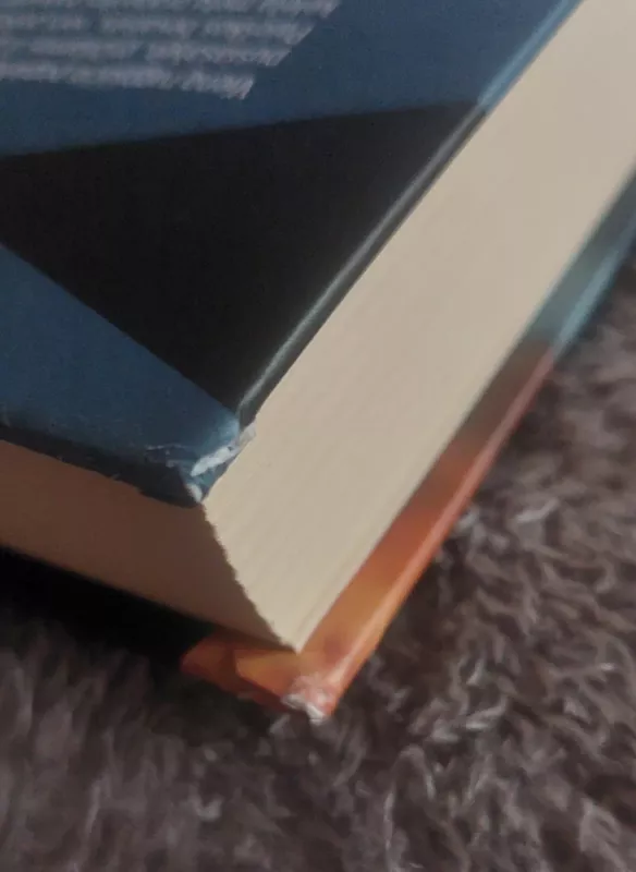 Pranykstanti žemė - Julia Phillips, knyga 3