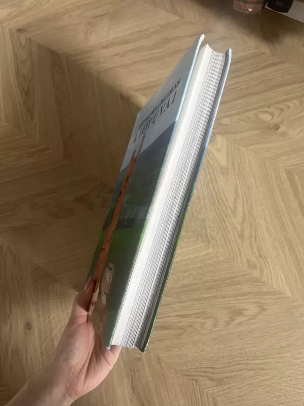 Ąžuolų kalbėjimas Lietuvai: menininko, kryždirbio, ąžuolų skulptoriaus Juozo Jakšto kūryba - Valdas Striužas, knyga 4