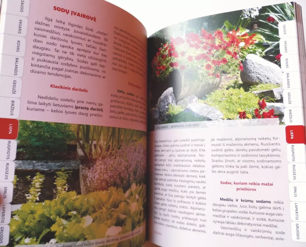 365 dienos sode, darže, namuose - Daiva Dmuchovska, knyga 6