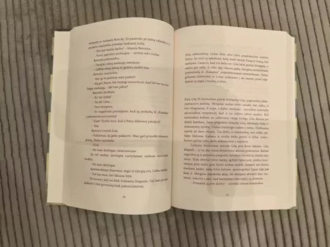 Aušvico tatuiruotojas - Heather Morris, knyga 3