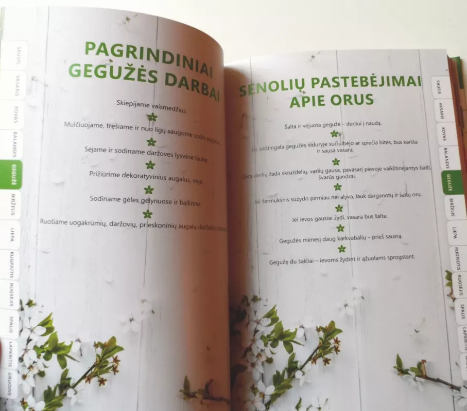 365 dienos sode, darže, namuose - Daiva Dmuchovska, knyga 5