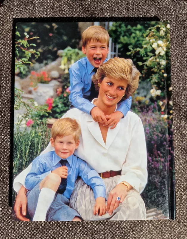 Žmonijos princesė Diana - Peteris Donelis, knyga 5