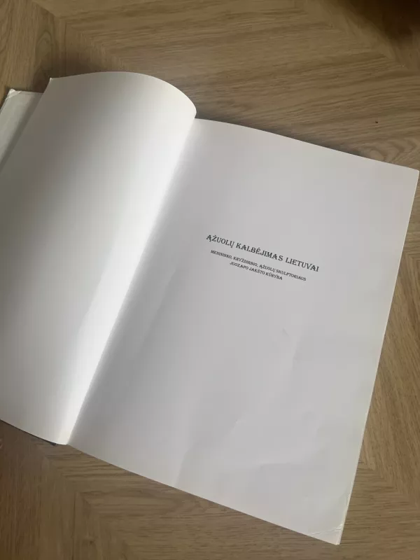 Ąžuolų kalbėjimas Lietuvai: menininko, kryždirbio, ąžuolų skulptoriaus Juozo Jakšto kūryba - Valdas Striužas, knyga 5