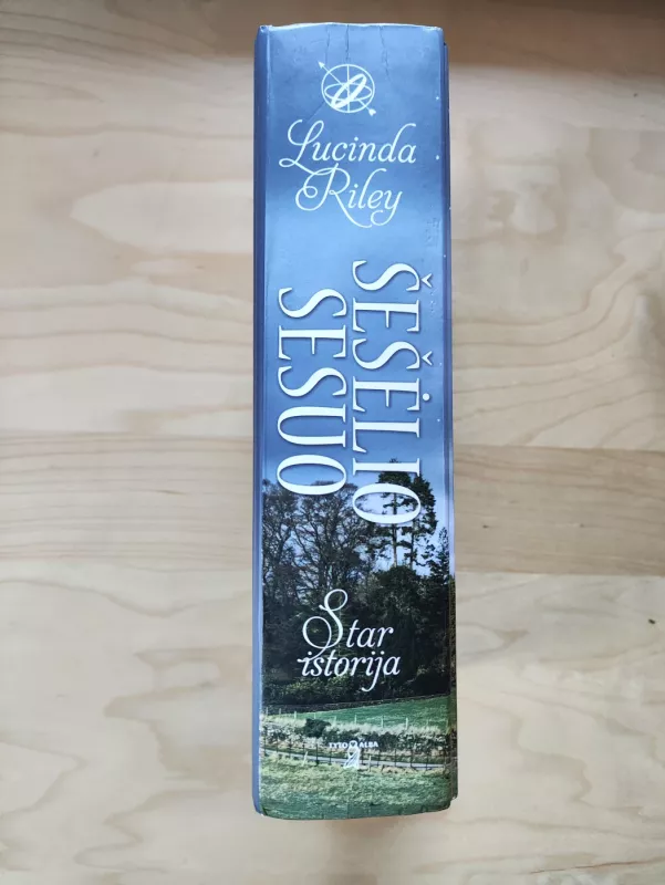 Šešėlio sesuo - LUCINDA RILEY, knyga 3