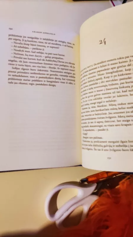 Katerina - Aharon Appelfeld, knyga 4