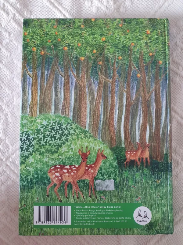 Septynios stirnos. Austrų pasakos - Karl Haiding, knyga 3