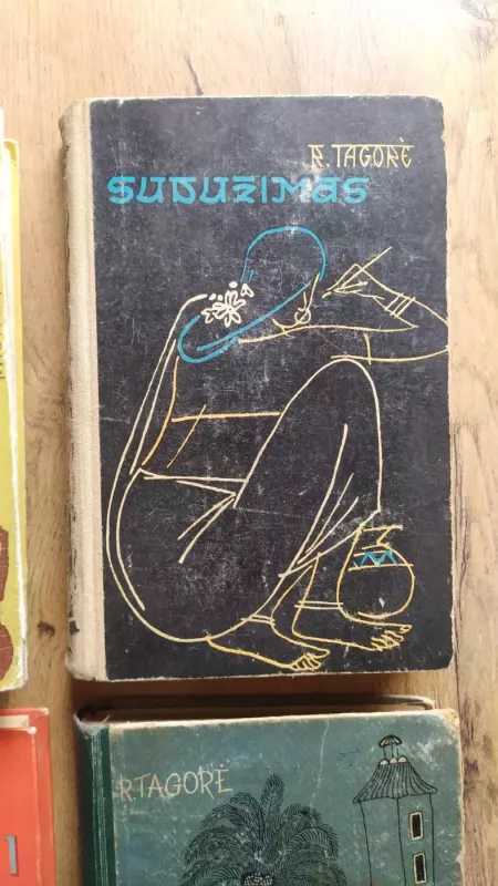 Rabindranatas Tagorė. 5 kn. - Rabindranatas Tagorė, knyga 6