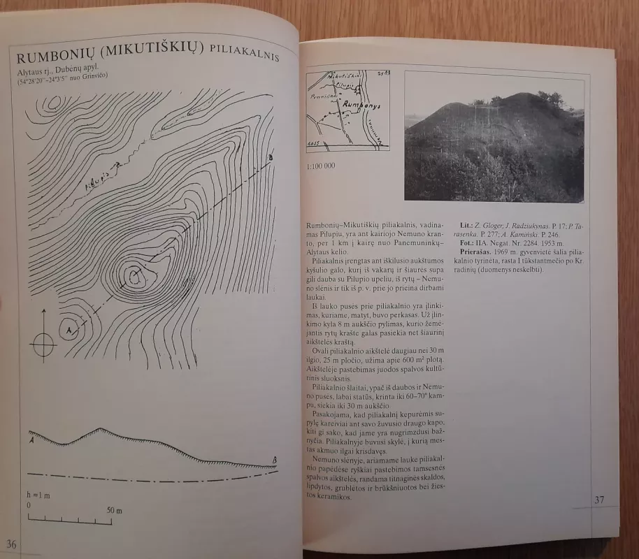 Dienoraštis: 1922 m. birželio 16-oji – 1923 m. balandžio 10-oji - Mykolas Romeris, knyga 6