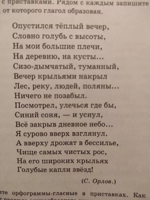 Ruski jazik praktikum 5-a klase - Autorių kolektyvas (įvairūs), knyga 4
