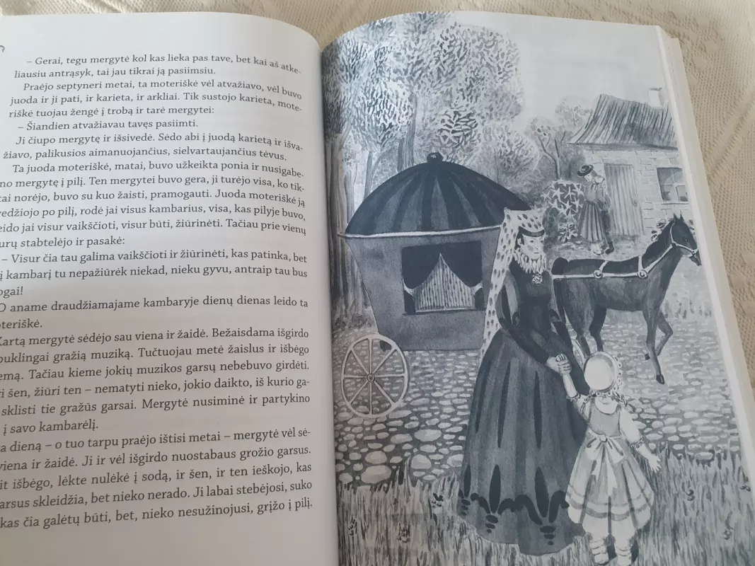 Septynios stirnos. Austrų pasakos - Karl Haiding, knyga 6