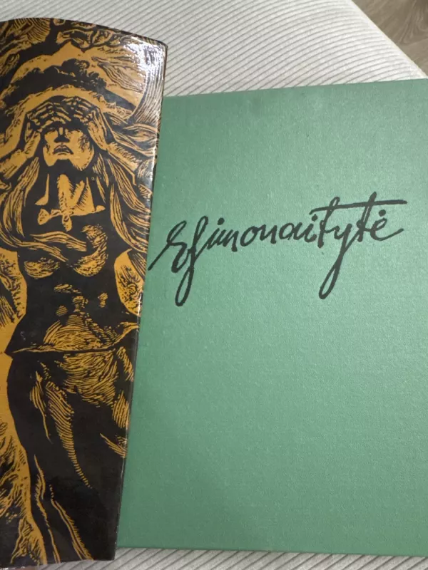 Aukštųjų Šimonių likimas - Ieva Simonaitytė, knyga 2