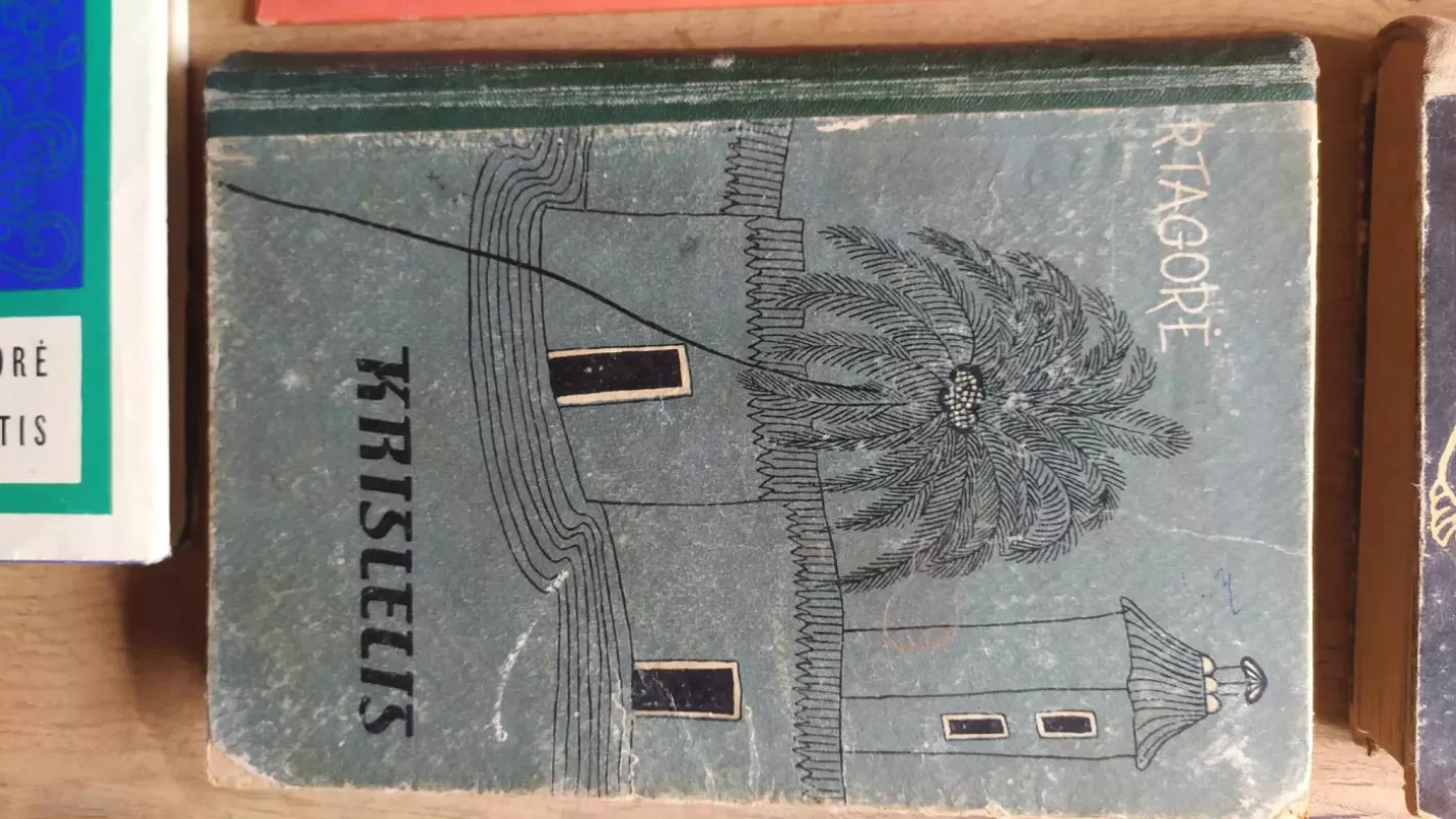 Rabindranatas Tagorė. 5 kn. - Rabindranatas Tagorė, knyga 4
