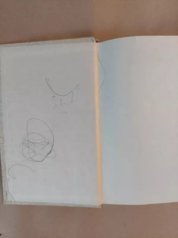 Akmuo ant akmens - Veslavas Mislivskis, knyga 3