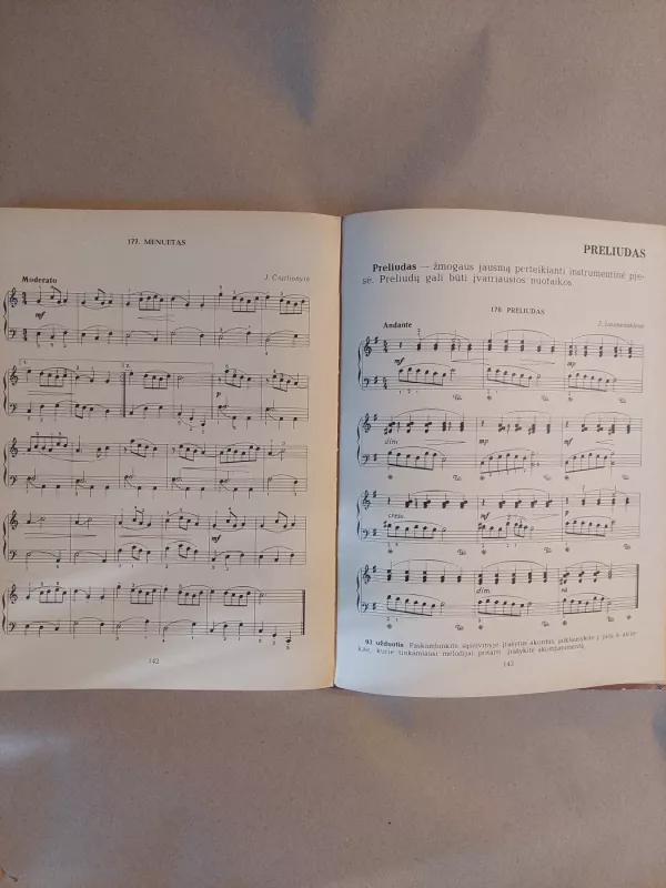 Jaunasis pianistas - Vida Krakauskaitė, knyga 4