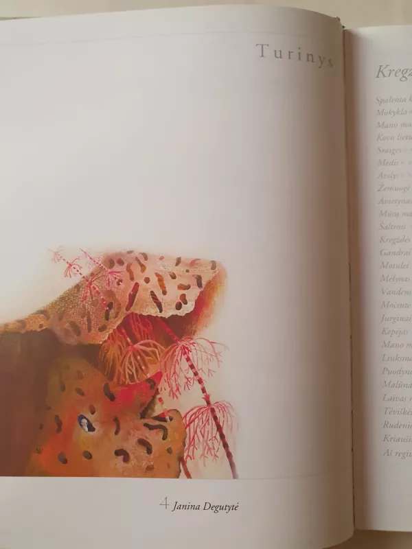 Baltas gulbių sostas - Janina Degutytė, knyga 6