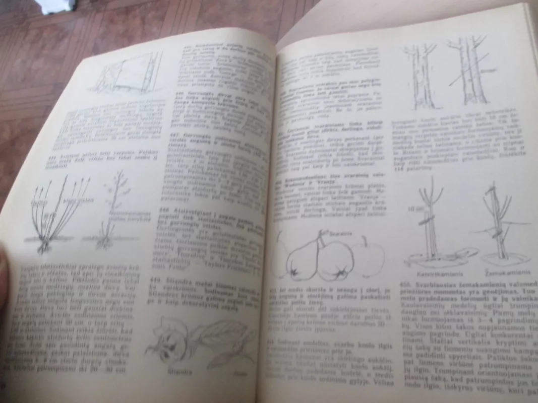 Kasdieninis darbas sode - F. Biomigas, knyga 6