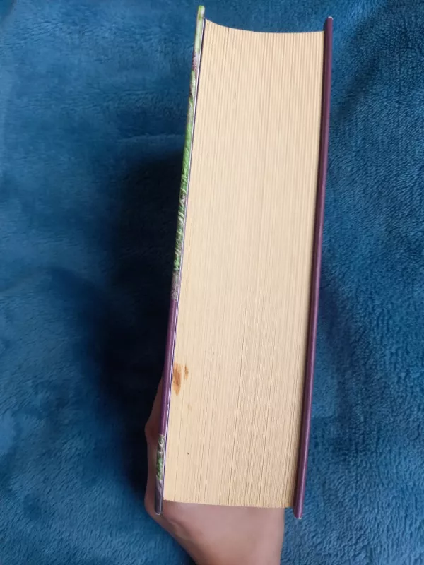 Vitne, mano meile - Judith McNaugth, knyga 4