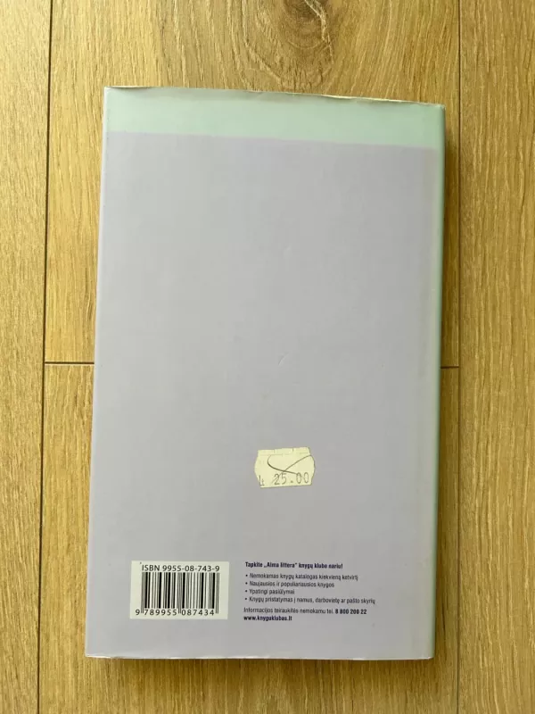 Didysis Getsbis - F.Scott Fitzgerald, knyga 3