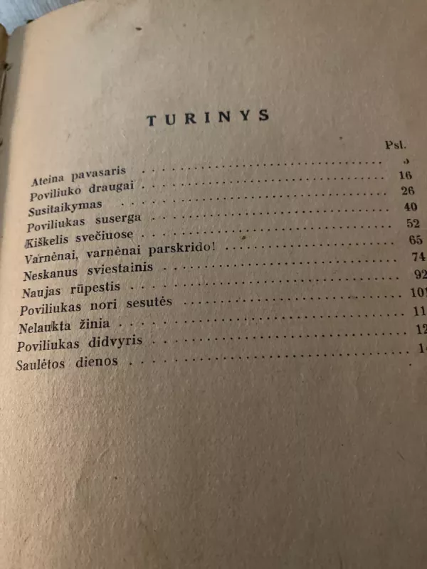 Ateina pavasaris - Vytautas Tamulaitis, knyga 6