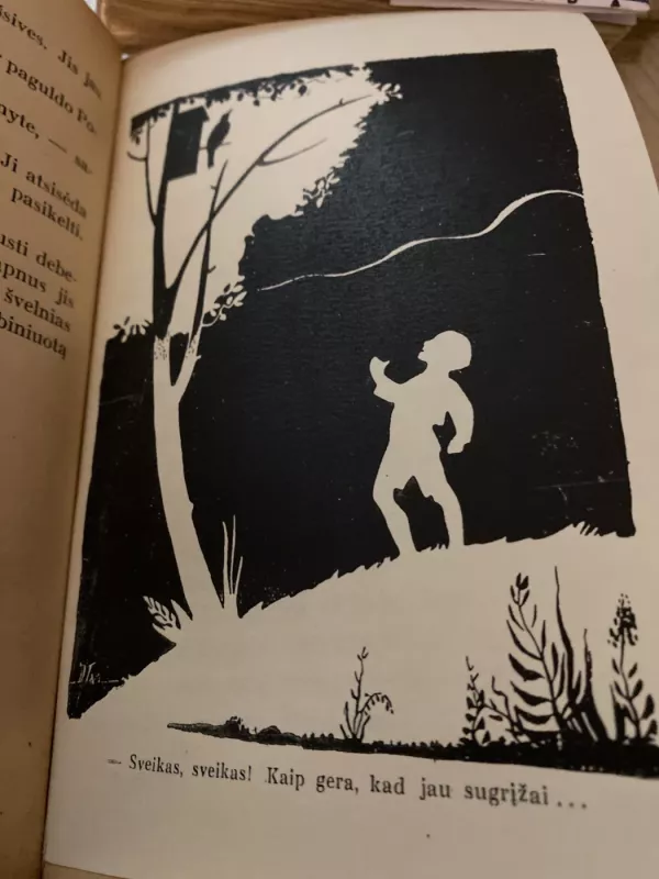 Ateina pavasaris - Vytautas Tamulaitis, knyga 4