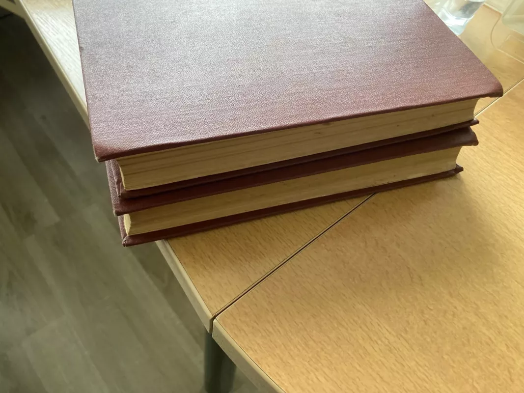 Don Kichotas (I ir II tomai) - Migelis Servantesas, knyga 3