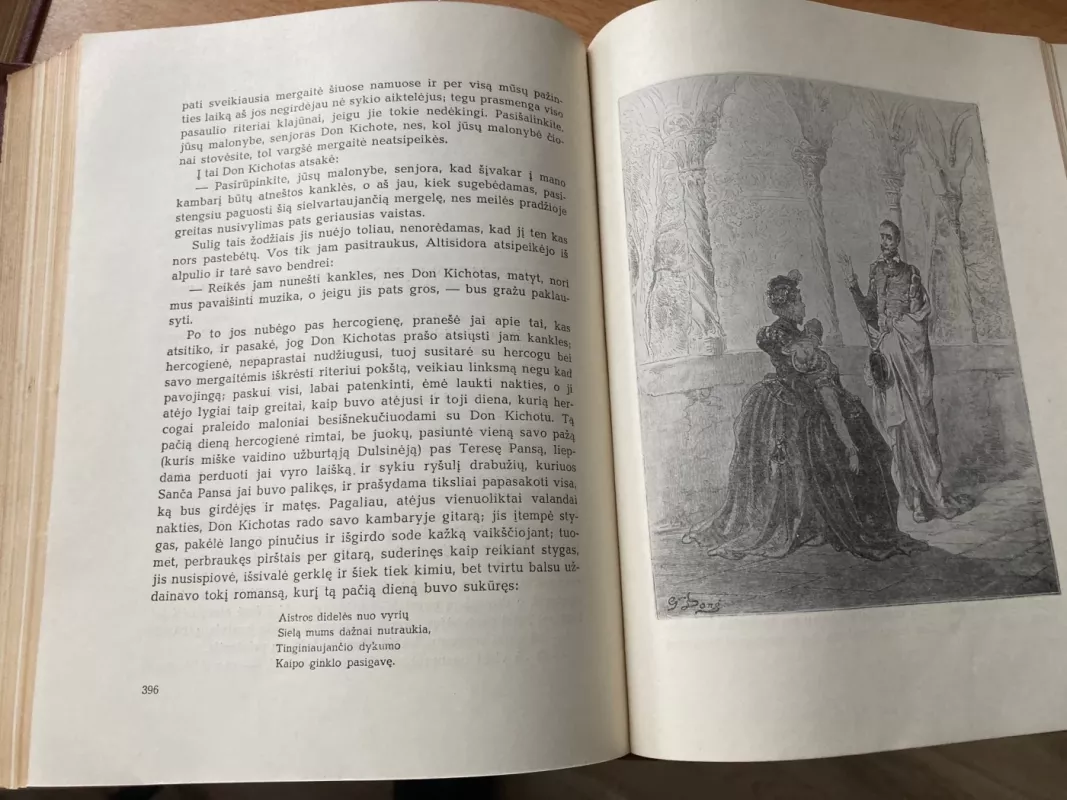 Don Kichotas (I ir II tomai) - Migelis Servantesas, knyga 6