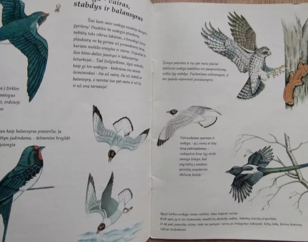 Kam reikalinga uodega? - Vaidotas Morkūnas, knyga 3