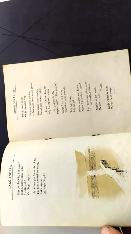 Žiedai, žiedai, bitutės darbai - Juozas Nekrošius, knyga 4