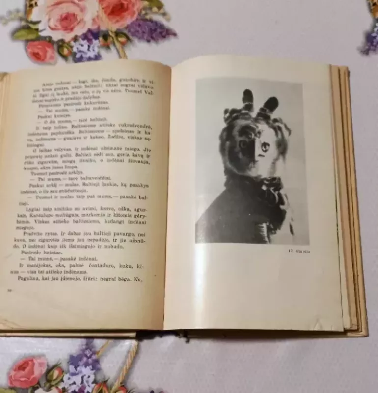 Mangrovų šalyje - Georgas Dalis, knyga 4