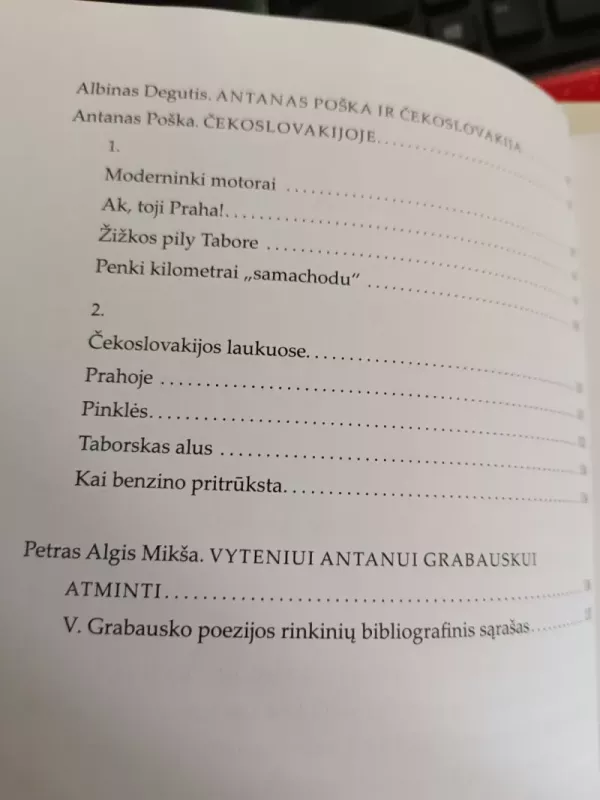 Lietuva ir Čekija istorija kultūra politika Nr. 28-29 - Petras Algis Mikša, Algis Mik, knyga 4