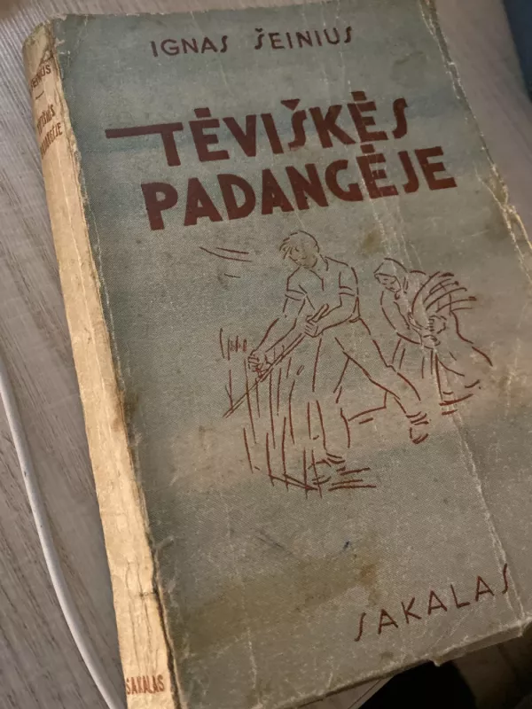 Teviskes padangeje - Ignas Šeinius, knyga 2
