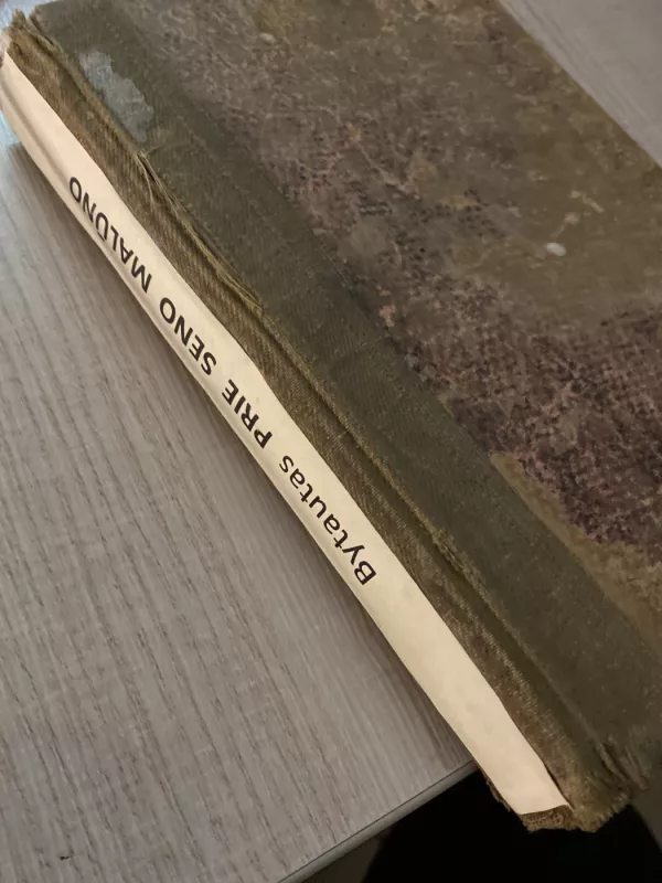 Prie seno malūno - Adomas Bytautas, knyga 4