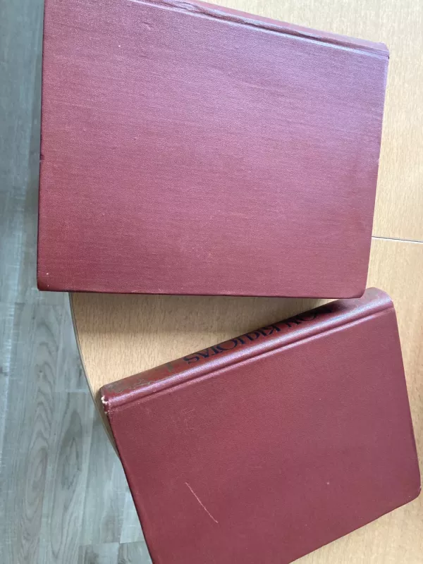 Don Kichotas (I ir II tomai) - Migelis Servantesas, knyga 4