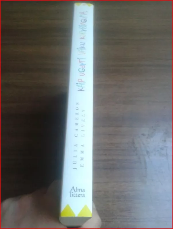 Kaip ugdyti vaikų kūrybingumą - Julia Cameron, Emma Lively, knyga 3