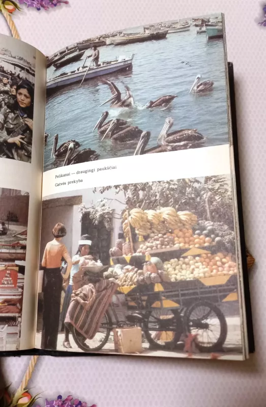 Auksinio tumio šalyje - Vadimas Listovas, knyga 4