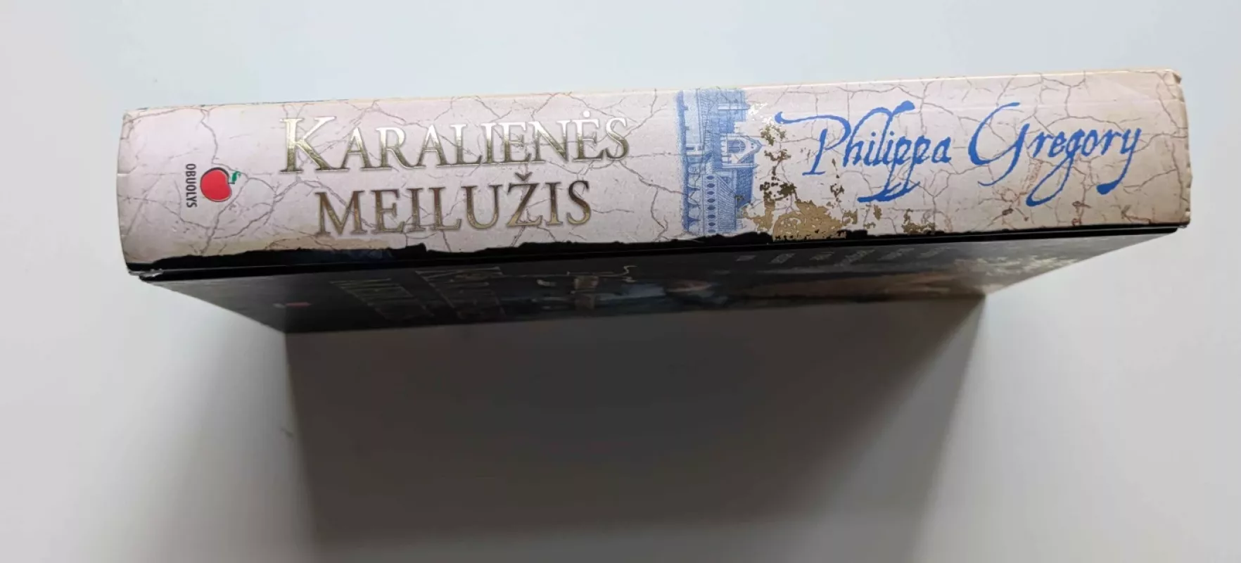 Karalienės meilužis (kieti viršeliai) - Philippa Gregory, knyga 4