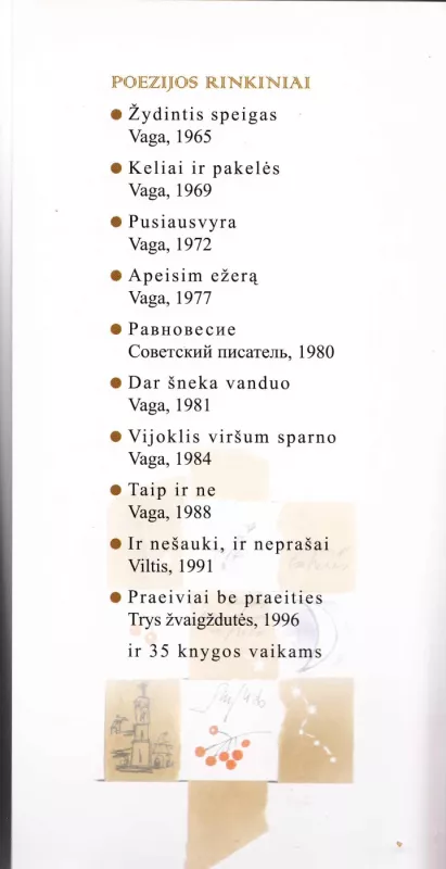 Tiek turi - Ramutė Skučaitė, knyga 3