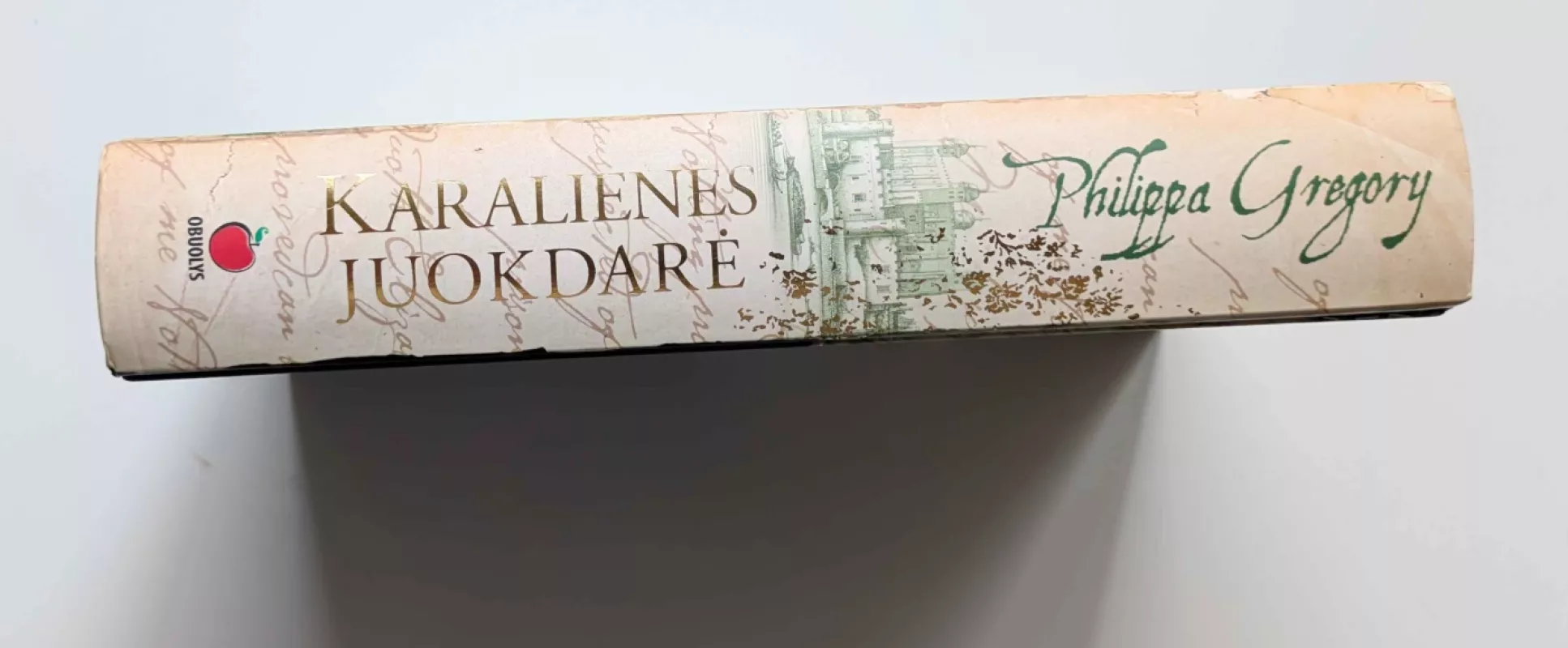 Karalienės juokdarė - Philippa Gregory, knyga 3