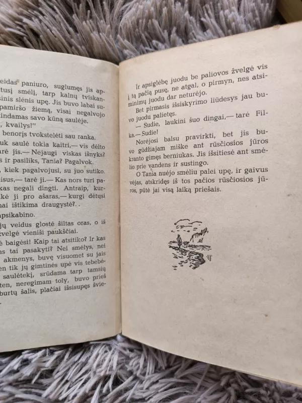 Laukinis šuo Dingas, arba apysaka apie pirmąją meilę - Ruvimas Frajermanas, knyga 3