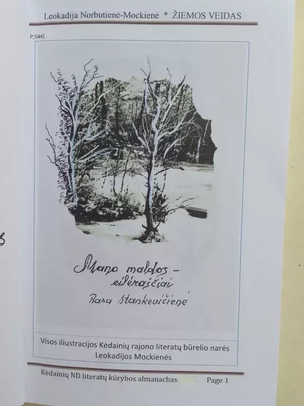 Žiemos veidas - Kėdainių neįgaliųjų draugijos almanachas - Autorių Kolektyvas, knyga 3