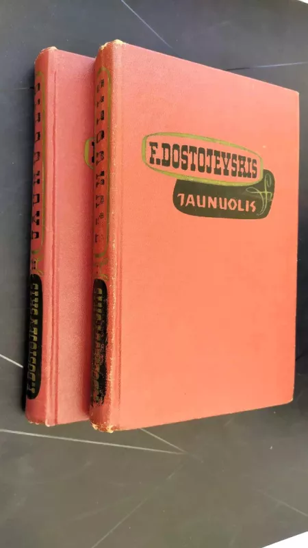 Jaunuolis (2 tomai) - Fiodoras Dostojevskis, knyga 3