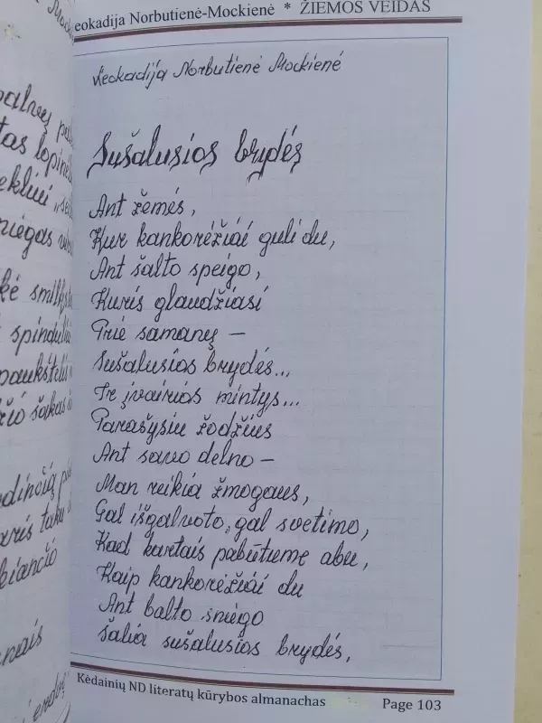 Žiemos veidas - Kėdainių neįgaliųjų draugijos almanachas - Autorių Kolektyvas, knyga 4