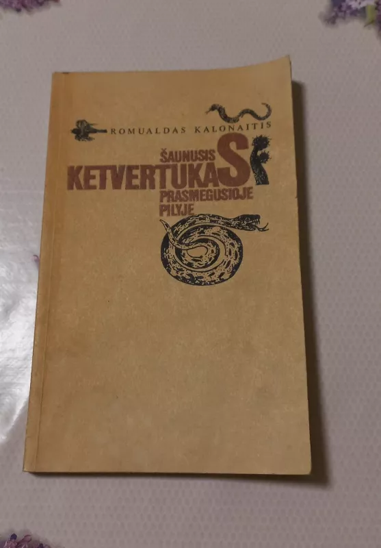 Šaunusis ketvertukas prasmegusioje pilyje - Romualdas Kalonaitis, knyga 2