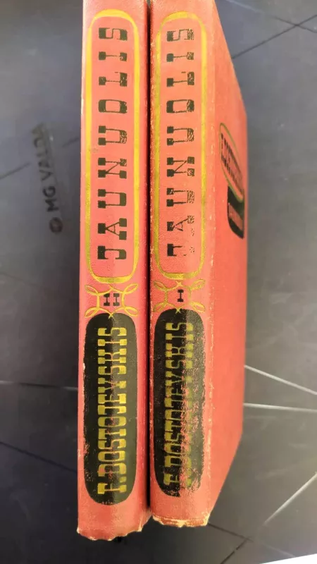 Jaunuolis (2 tomai) - Fiodoras Dostojevskis, knyga 2