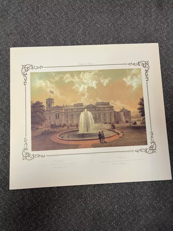 Vilniaus albumas - Jonas Kazimieras Vilčinskis, knyga 6