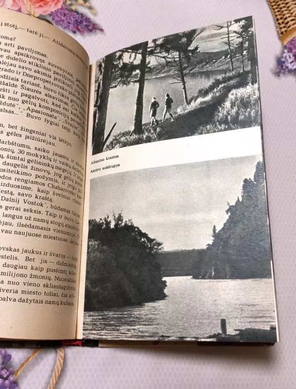 Pasitinkant aušrą - Vladimiras Rybinas, knyga 4